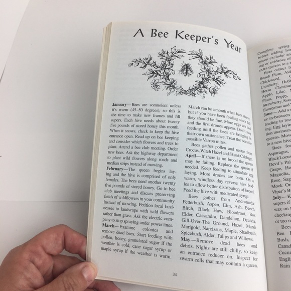 The Witches’ Almanac Issue 36 Spring 2017-2018 Paperback Book Water - Picture 9 of 10